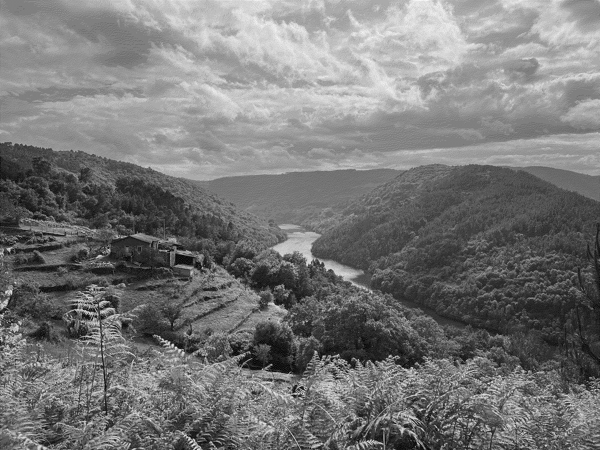 Dithered view of the interior landscape